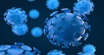Virus Bild